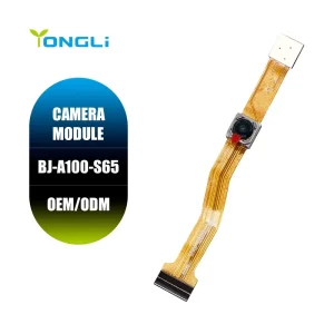 YongLi BJ A100 S65 Medical Micro Endoscopic AF Dual Camera 3264H*2448V Smart Medical Handheld Terminal Smallest Camera Module
