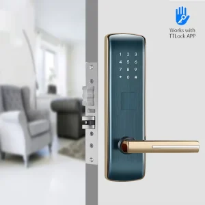Zinc Alloy Door Lock Intelligent TT Lock Smart Lock Password Touch Screen Card Smart Electronic Door Lock