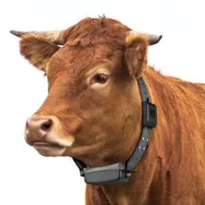 cattle tracking system lora Sheep Animal Husbandry Intelligent Breeding Lorawan Network meshtastic lora electronic with gps